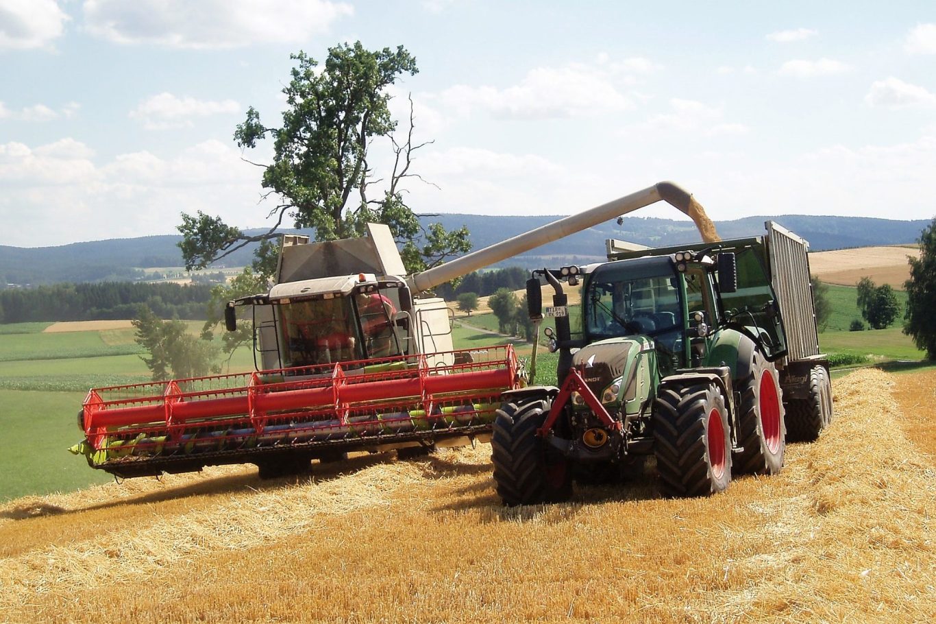 Traktor erntet Getreide auf einem Feld mit einer Erntemaschine im Hintergrund.