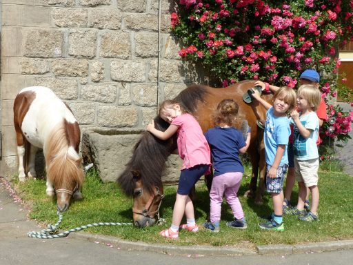 Kinder umarmen Ponys vor einer Wand mit blühenden Pflanzen.