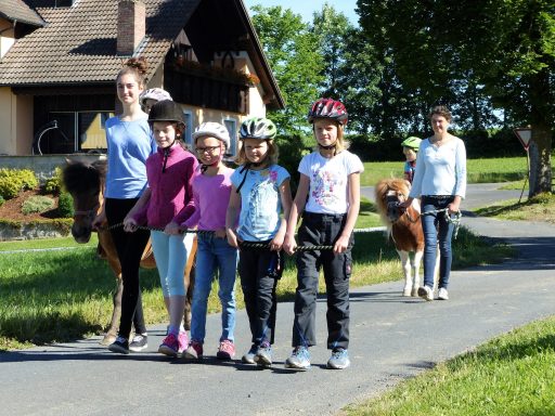 Sechs Kinder mit Fahrrädern, Zeigen auf einer Straße vor einem Haus mit zwei Hunden.